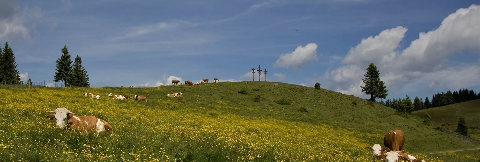 Hiking route Big alpine hike of Passail - Touren-Impression #1 | © Oststeiermark Tourismus