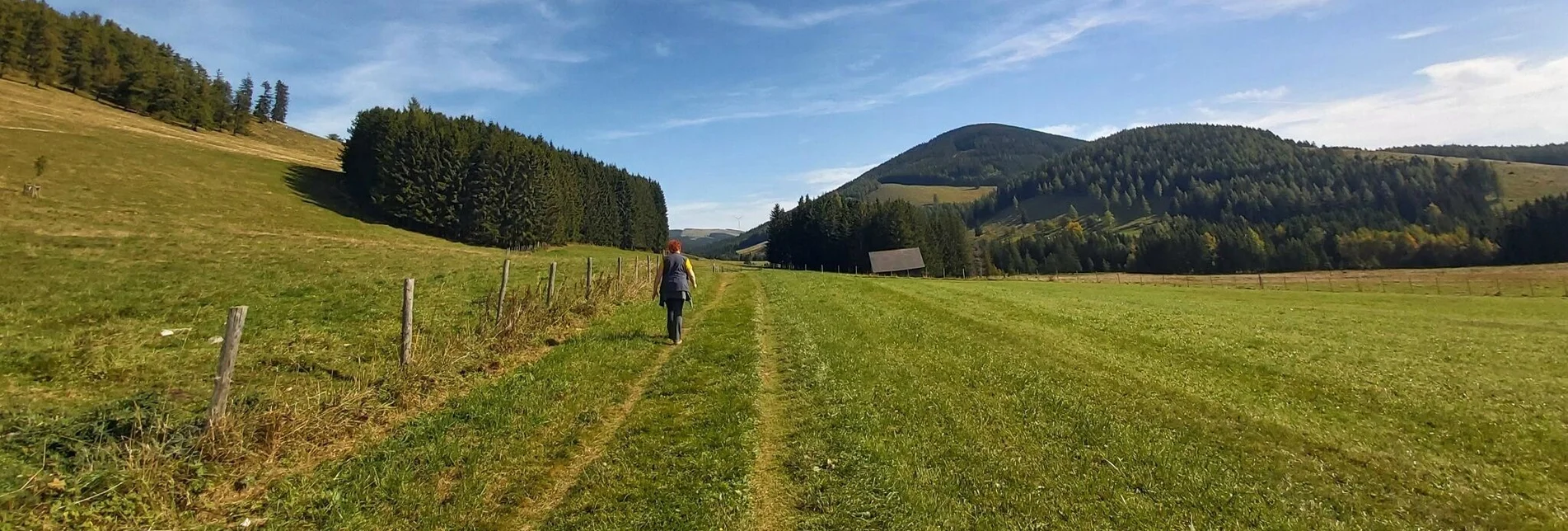 Hiking route Osser Round Trip around the Teichalm - Touren-Impression #1 | © Oststeiermark Tourismus