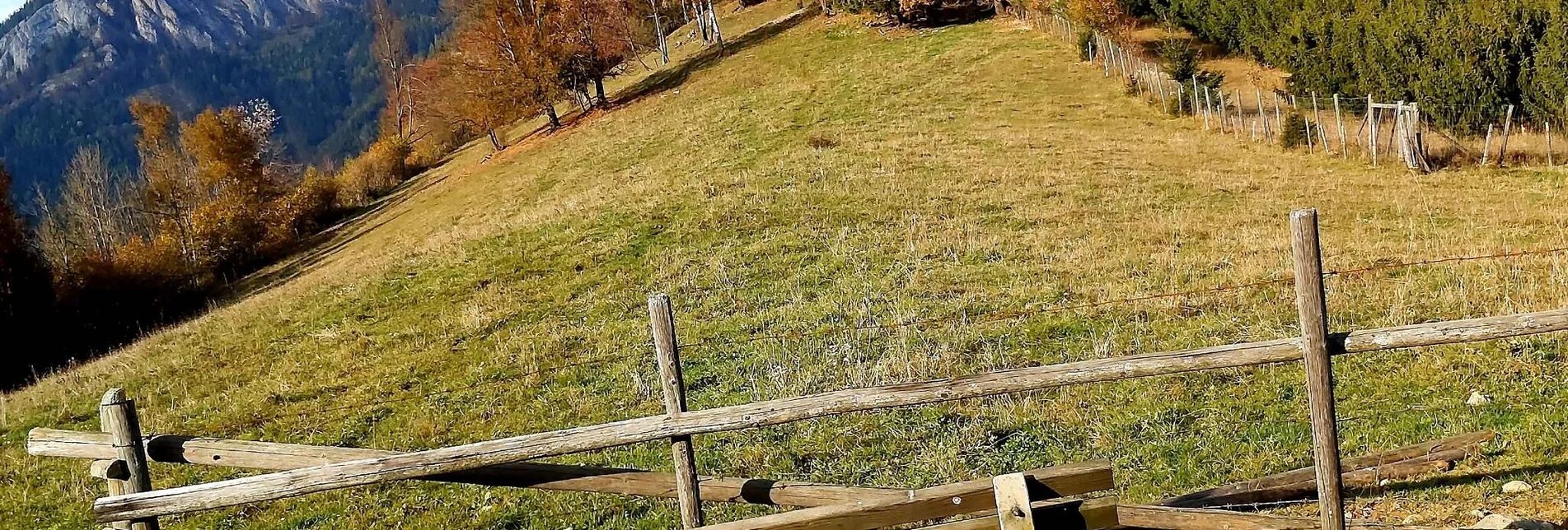 Hiking route Rote Wand with Tyrnauer Alm - Touren-Impression #1 | © Oststeiermark Tourismus