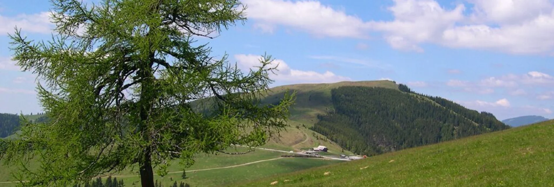 Hiking route Siebenkögel-Round Trip, Sommeralm - Touren-Impression #1 | © Oststeiermark Tourismus