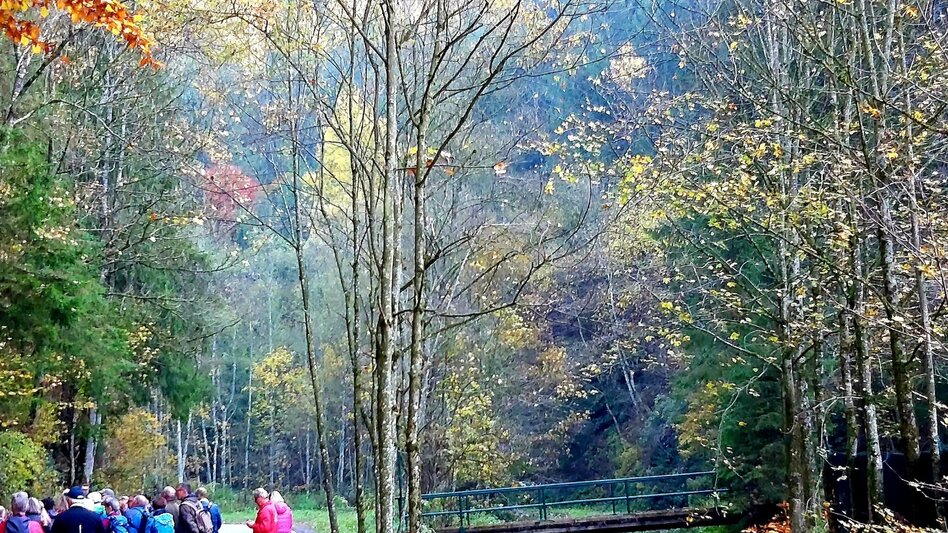 Themed Nature Trail Montan Lehrpfad Arzberg - Touren-Impression #2.5 | © Oststeiermark Tourismus