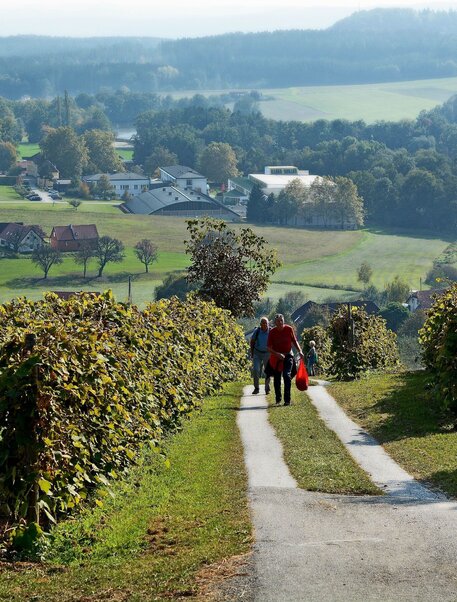 View to the castle Schielleiten, Stubenberg am See in eastern Styria | © Oststeiermark Tourismus