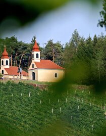 Weinberg mit Blick auf das Hl.Grab | © Oststeiermark Tourismus | Christian  Strassegger | © Oststeiermark Tourismus