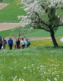 Wandern am Tram- Way | © Oststeiermark Tourismus | Tourismusverband Oststeiermark | © Oststeiermark Tourismus