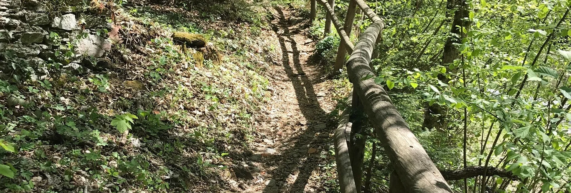 Hiking route Small Raabklamm, Mortantsch - Touren-Impression #1 | © Oststeiermark Tourismus