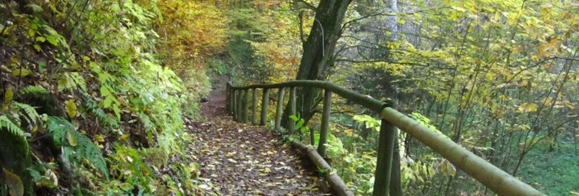 Jogging St. Ruprecht - Erlebnislaufstrecke - Touren-Impression #1 | © Oststeiermark Tourismus