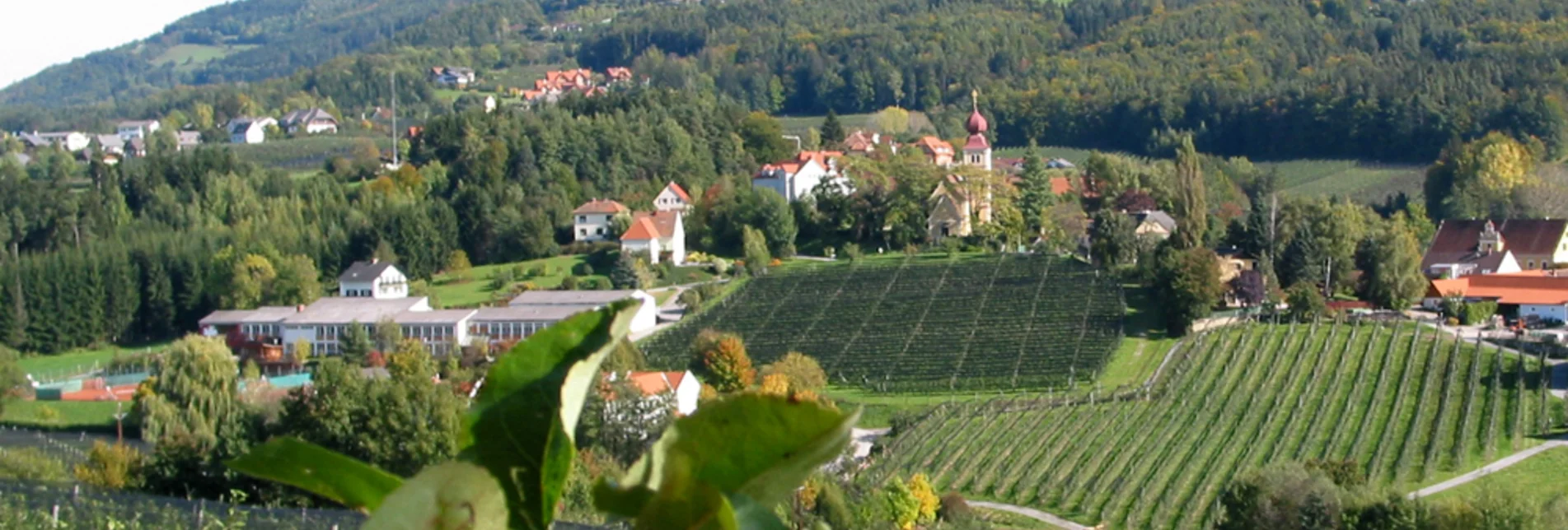 Bike Riding Styrian Apple Road " A journey to paradise" - Touren-Impression #1 | © Tourismusverband Oststeiermark