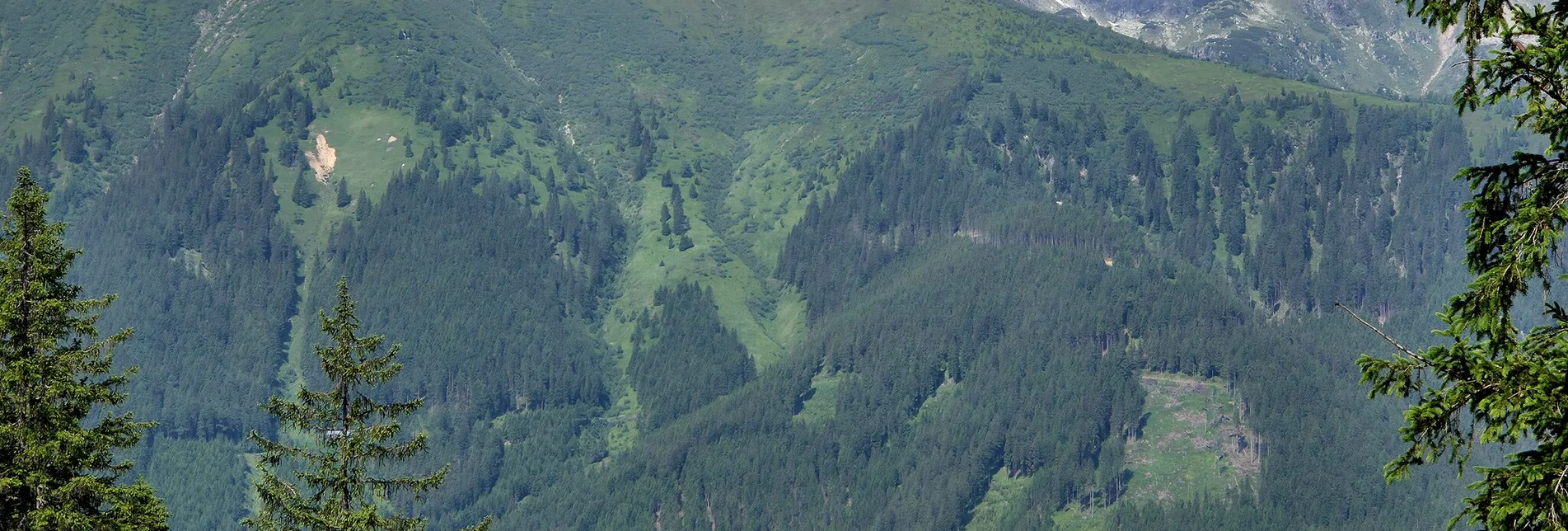 Hiking route Hasensattel - Heavenly place 5 - Touren-Impression #1 | © Marlene Zandl