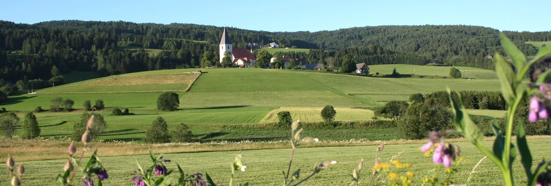 Hiking route Mariahof circular hiking trail - Touren-Impression #1 | © Tourismusverband Murau