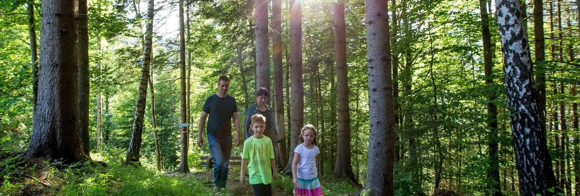 Hiking route Lind Castle hike - Touren-Impression #1 | © Tourismusverband Murau