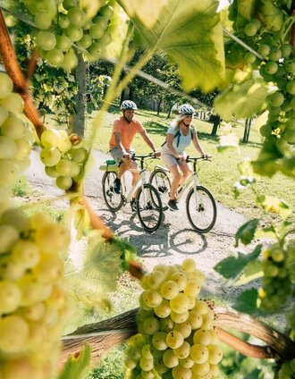 Radfahren vorbei an Weingärten | Tourismusverband Oststeiermark | © Oststeiermark Tourismus