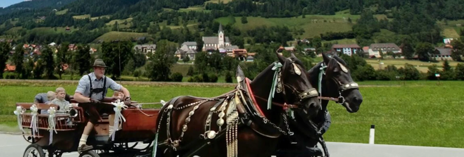 Horse Carriage Ride Horse-drawn sleigh & carriage rides Putzenbacher - Touren-Impression #1 | © Tourismusverband Murau