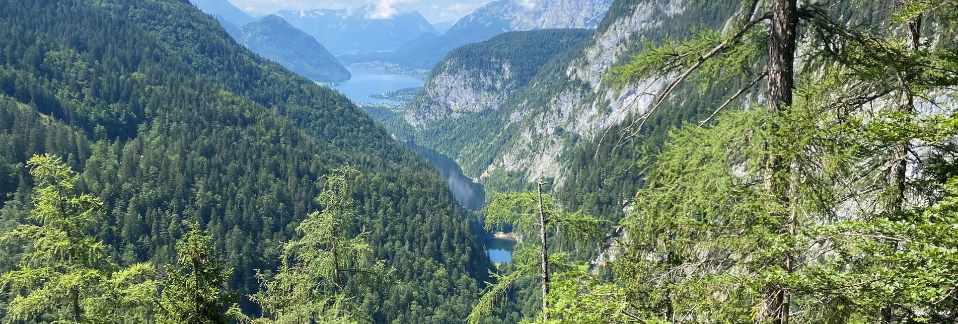 Wanderung Wanderung zum 3-Seen-Blick - Touren-Impression #1 | © TVB Ausseerland Salzkammergut_Bettina Scheck