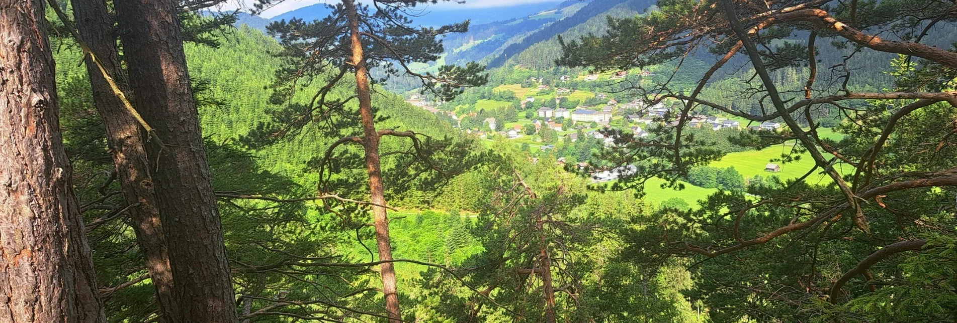 Hiking route Weg Nr. 1 Franz-Josef-Höhe - Touren-Impression #1