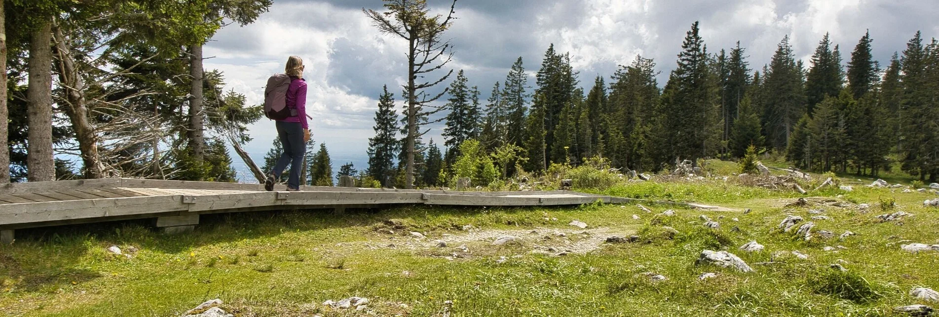 Hiking route Schöcklrunde über Schöcklkreuz - Touren-Impression #1 | © Weges OG