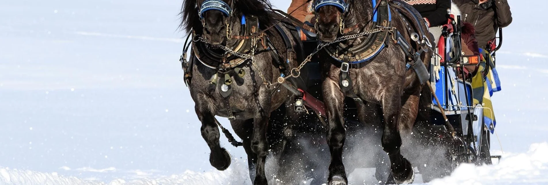 Horse Carriage Ride Sleigh ride to Obertal valley - Touren-Impression #1 | © Tourismusverband Schladming - Martin Huber