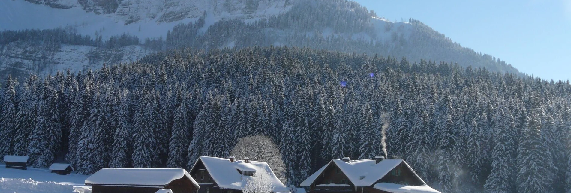 Ski nordic skating Blaa Alm - Rettenbach trail - Touren-Impression #1 | © Ausseerland