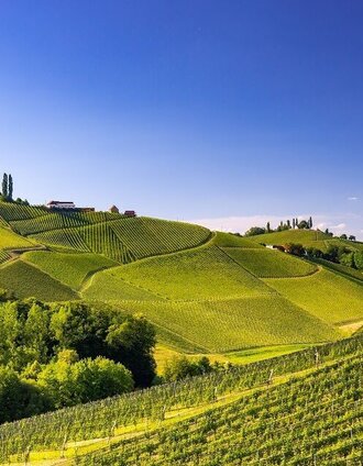 Landschaft Gamlitz | Harry Schiffer | © TV Südsteiermark/Harry Schiffer