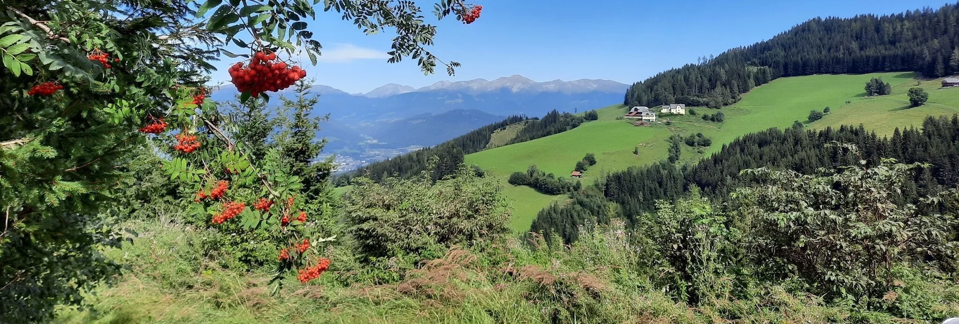 Hiking route Steinplan-Runde von Kleinlobming - Touren-Impression #1 | © WEGES OG