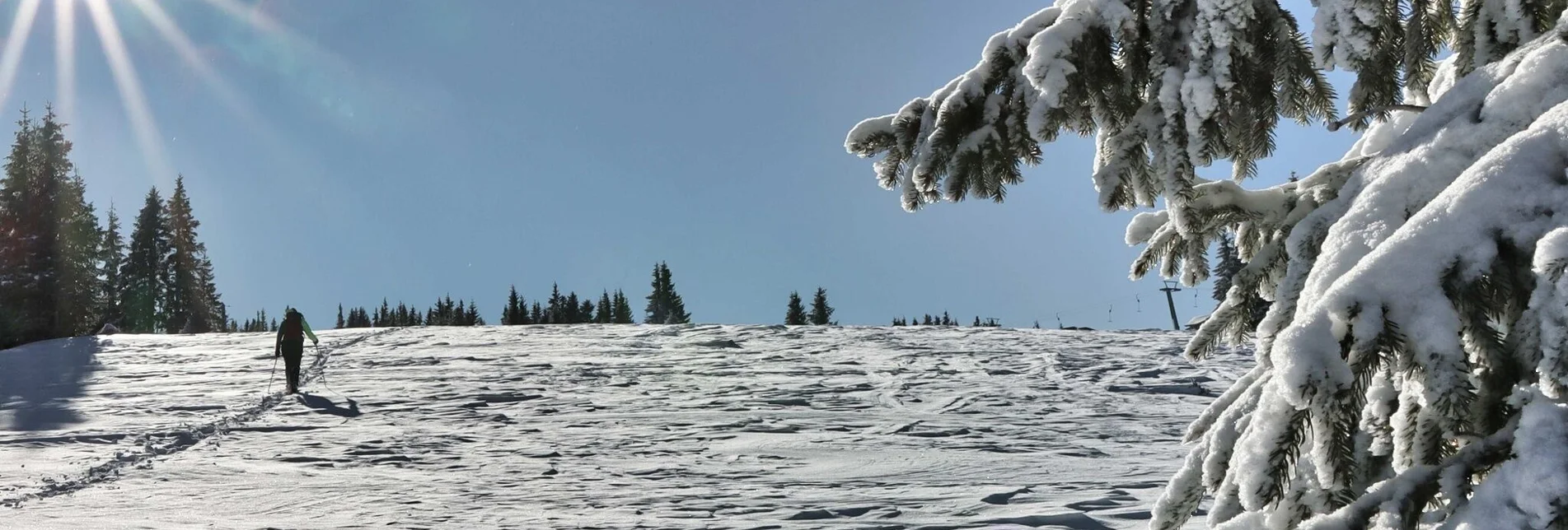 Wanderung Moschkogel - Touren-Impression #1 | © Weges OG