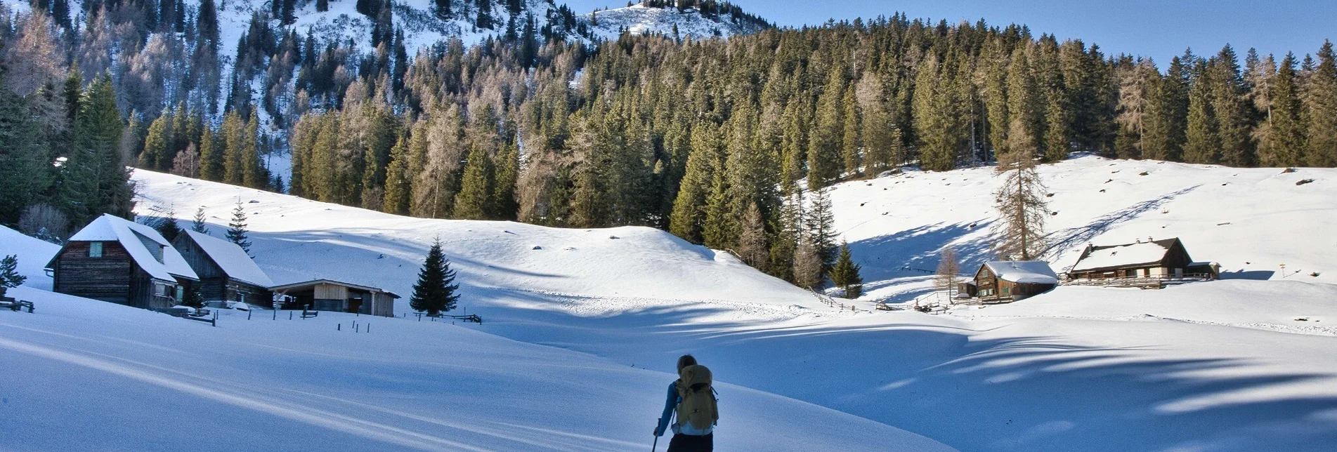 Winterwandern Schwarzbeeralm, 1425 m - Touren-Impression #1 | © Weges OG