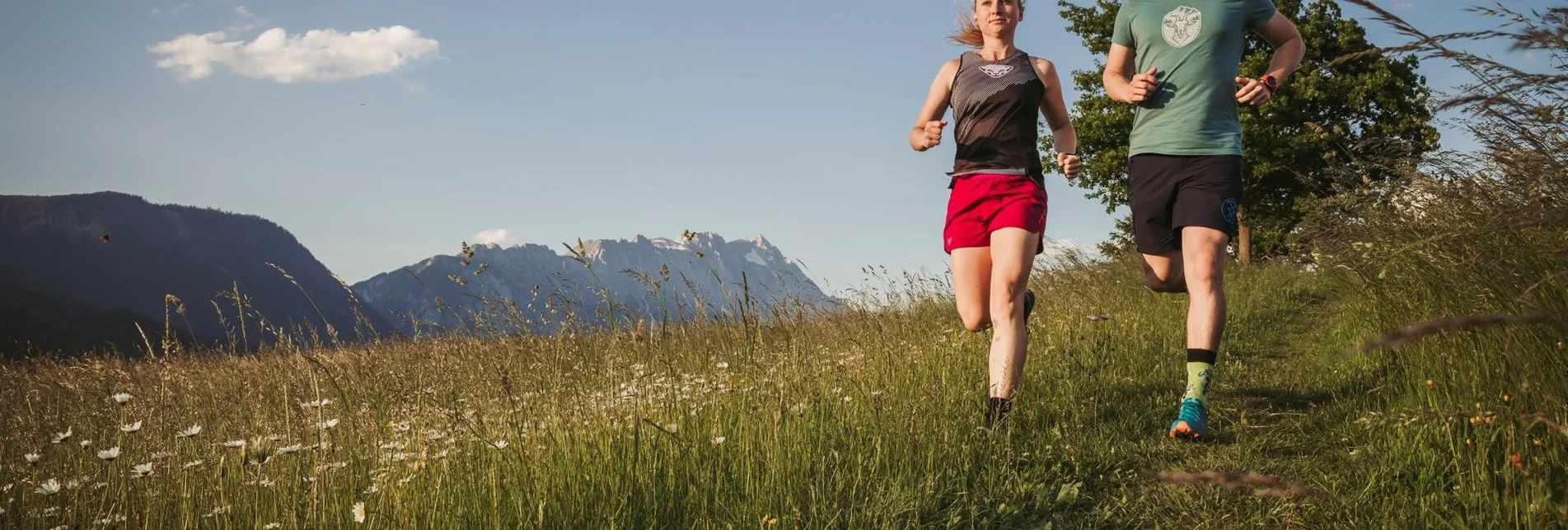 Nordic Walking Birgseiten Runde - Touren-Impression #1