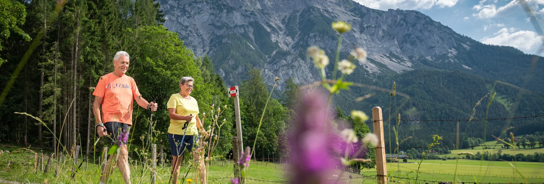 Nordic Walking Senioren Runde - Touren-Impression #1