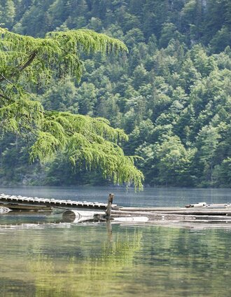 Toplitzsee, Grundlsee, Idylle pur | Schifffahrt Grundlsee/Eisenberger | © Schifffahrt Grundlsee/Eisenberger