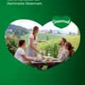 CDManual_Web.pdf
