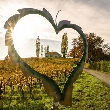 Weingärten im Herbst | © TV Region Bad Radkersburg
