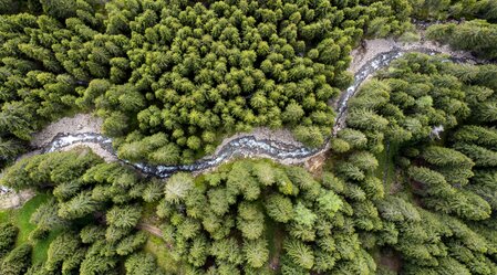 Schmelzbach meanders through the Styrian forests | © Steiermark Tourismus | Tom Lamm