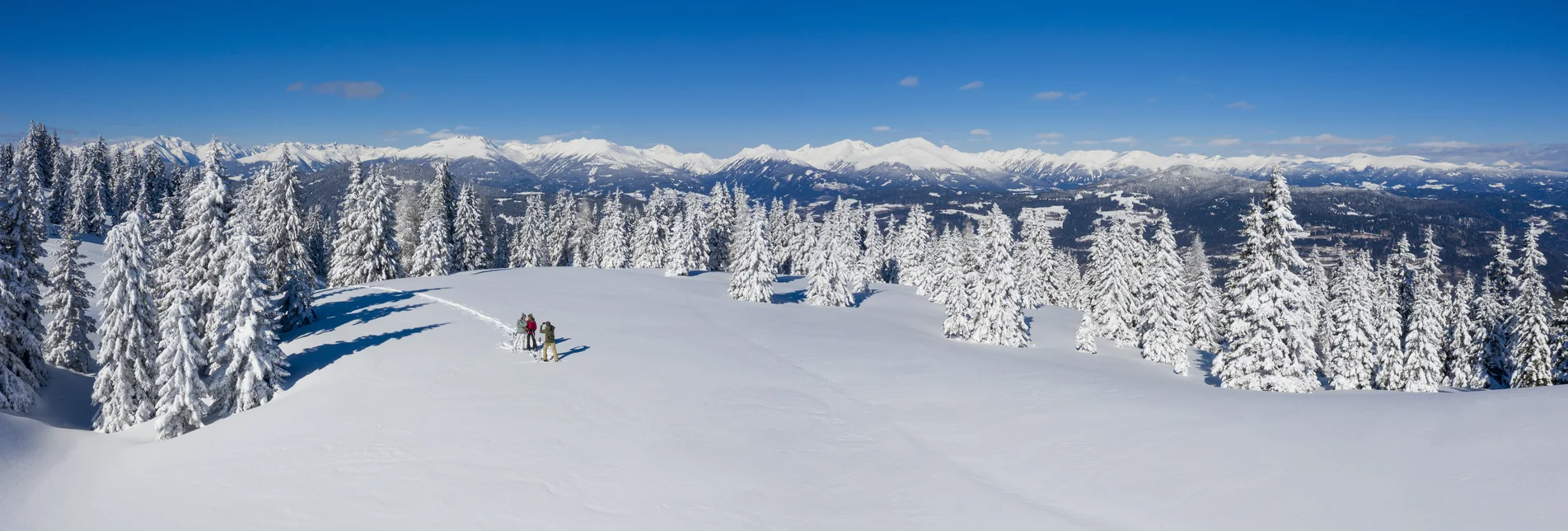 Snowshoeing on the Frauenalpe  | © Steiermark Tourismus | Tom Lamm