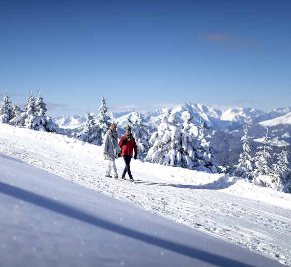 Walking on the Frauenalpe | © Steiermark Tourismus | Tom Lamm