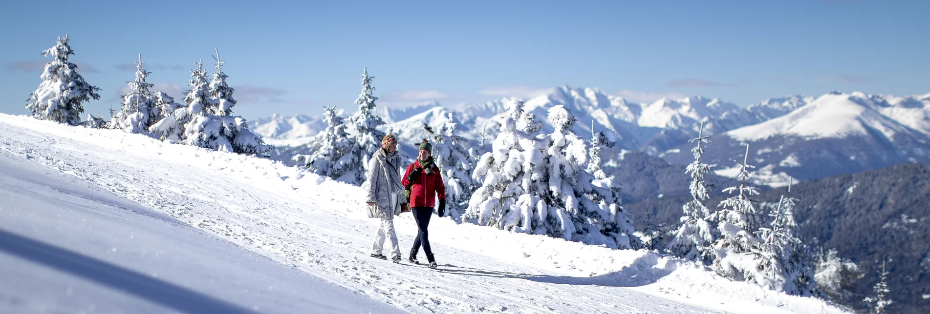 Walking on the Frauenalpe | © Steiermark Tourismus | Tom Lamm