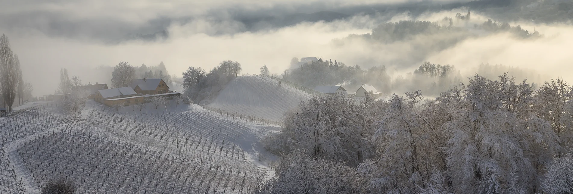 Winter im Weinland | © STG | Wolfgang Jauk