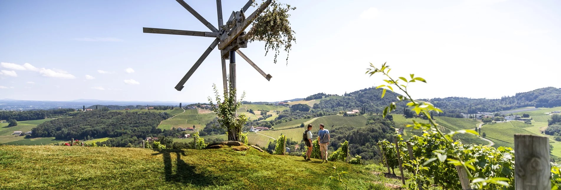 Weinwandern in der Südsteiermark | © STG | Tom Lamm