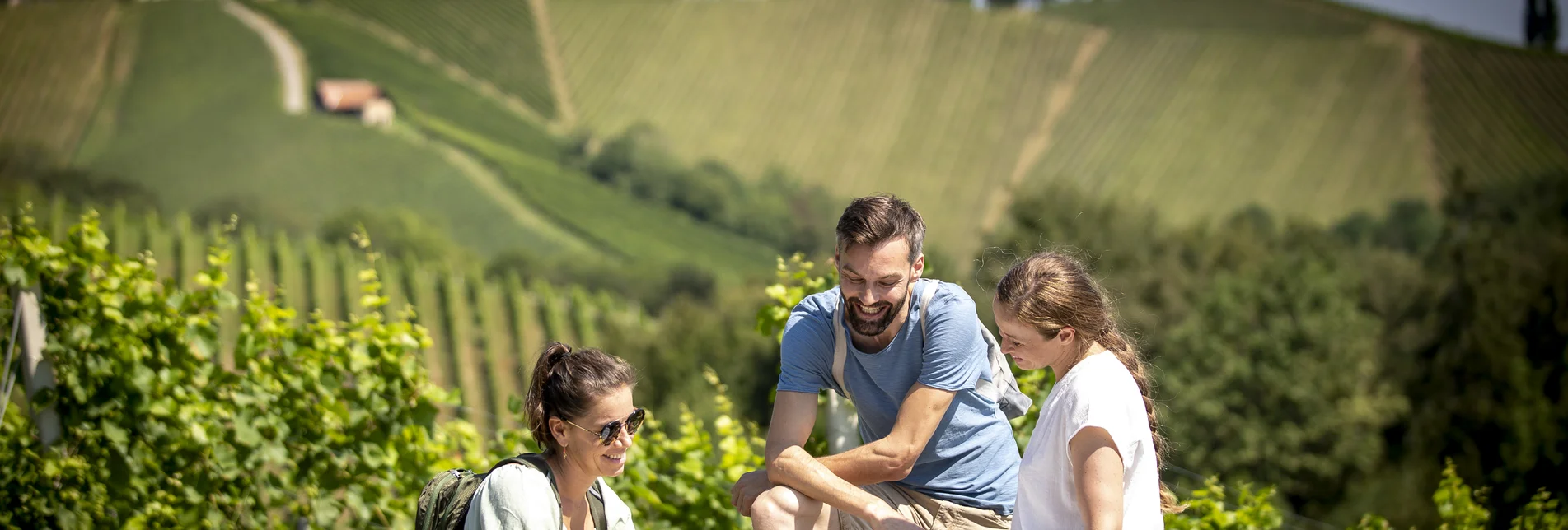 Rast beim Weinwandern in der Südsteiermark Rast beim Weinwandern in der Südsteiermark