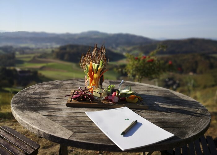 Meetings outdoors | © Steiermark Tourismus | Martina Haselwander