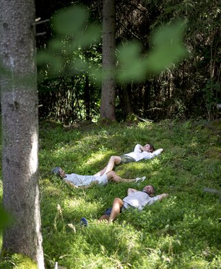 Forest bathing in the Green Heart of Austria | © Steiermark Tourismus | Tom Lamm