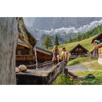 Neustattalm in Ramsau am Dachstein | © STG | photo-austria.at