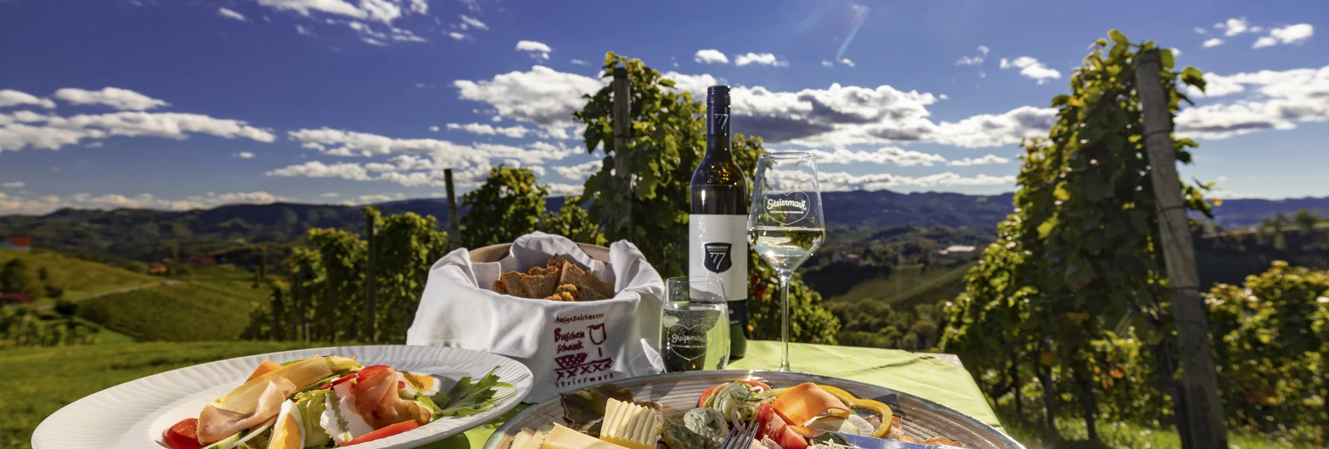 In the vineyard of the Dreisiebner Winery | © Steiermark Tourismus | Harry Schiffer