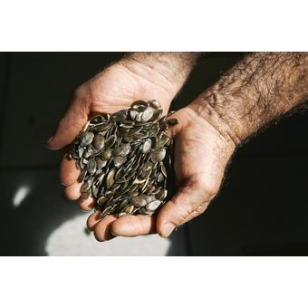Pumpkinseeds Weinhandmühle | © Thermen- & Vulkanland | Robert Maybach