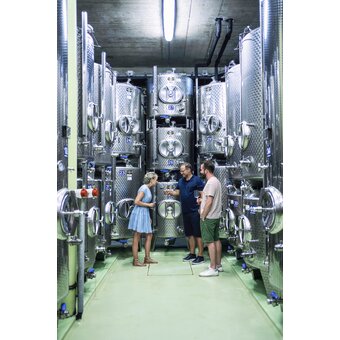 Tasting Weingut Frauwallner | © Thermen- & Vulkanland | Robert Maybach