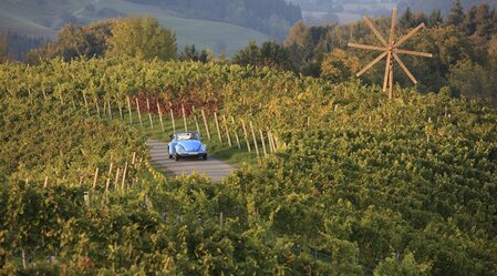 Cabrio im Weinland | © STG | Harry Schiffer