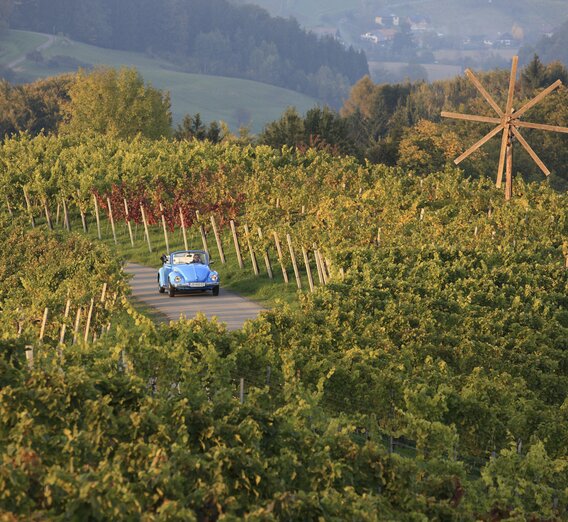 Cabrio im Weinland | © STG | Harry Schiffer