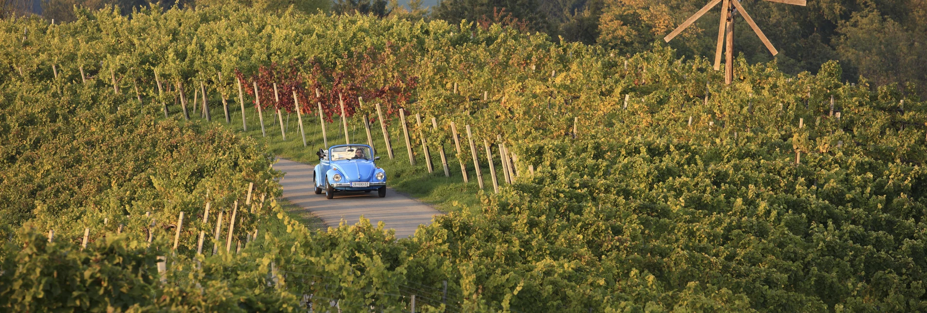 Cabrio im Weinland | © STG | Harry Schiffer