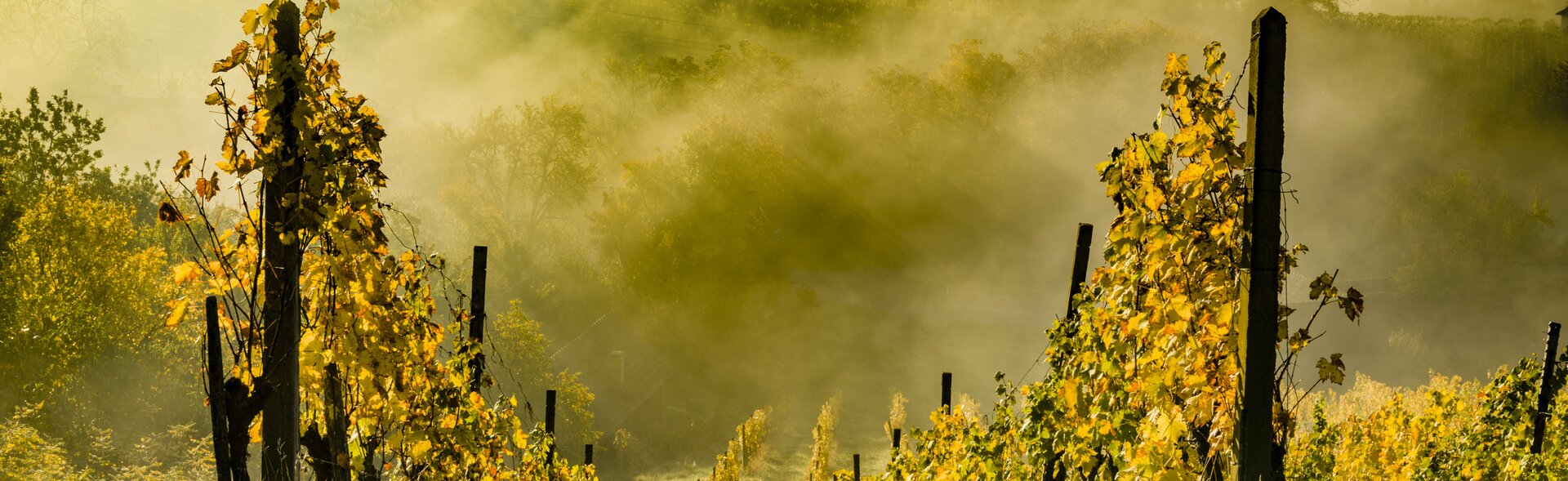 Southern Styria