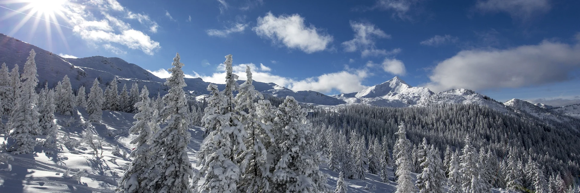 Winterlandschaft auf der Planneralm | © STG | Tom Lamm Winterlandschaft auf der Planneralm | © STG | Tom Lamm