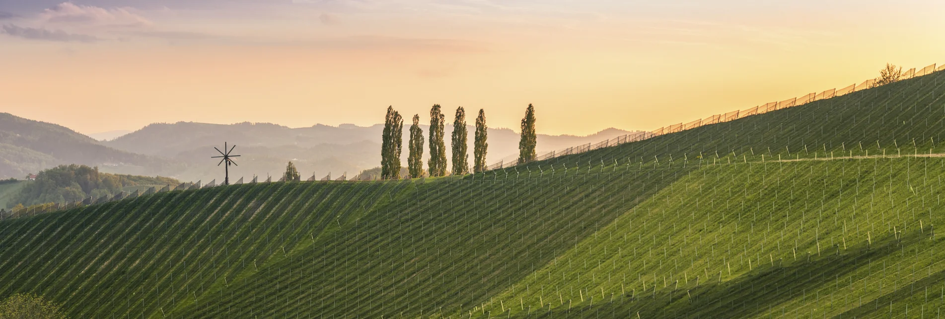 Südsteiermark | © STG | Wolfgang Jauk