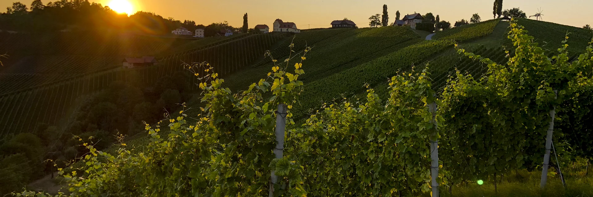 Südsteiermark: Wanderroute "Vom Gletscher zum Wein" (Etappe 24, Südroute) | © STG | Martina Traisch